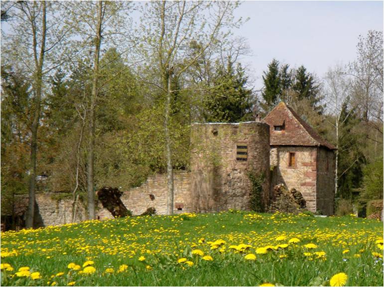 chateau de mittelhausen