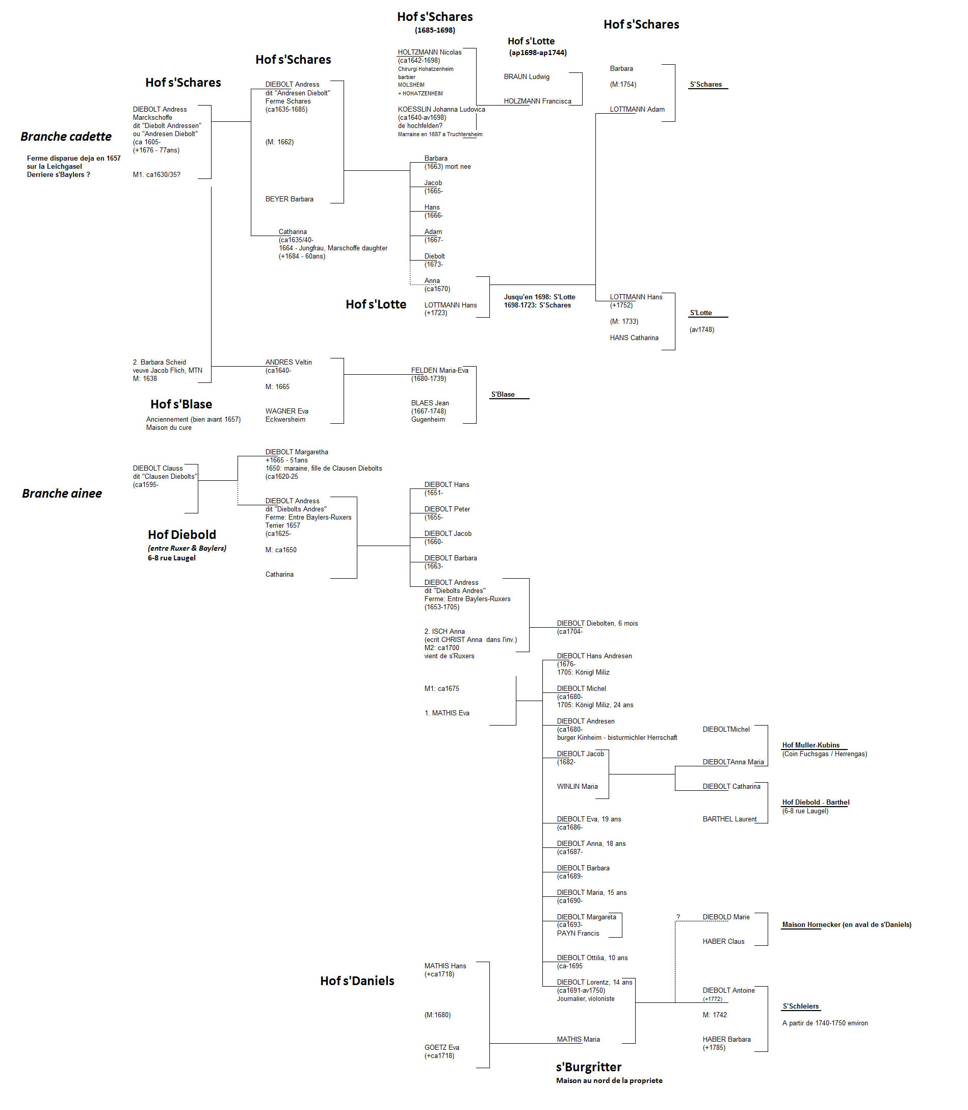 Arbre Genealogique des Diebold