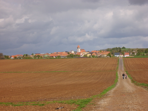 Campagne Minversheim