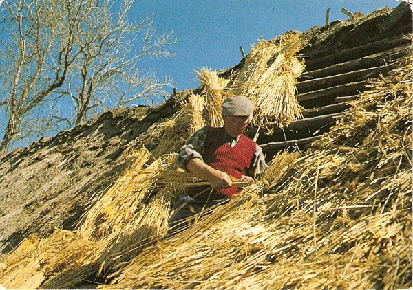 Couvreur de chaumes