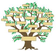 arbre
                    genealogique