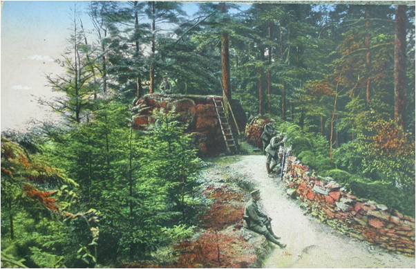 front
                  des Vosges